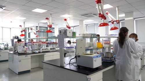 向新而行，專注藍海 瑞凝生物六年磨一劍，以創新技術守護腫瘤放療安全